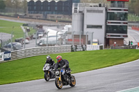 Lower Group Blue Bikes